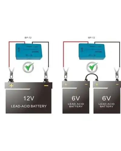 12V Car Battery Desulfator Protector (extends battery life) - Bismatic.com